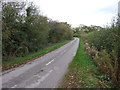 Track to Averham Park Farm