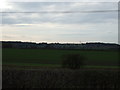 Farmland off the A616