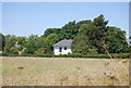 House in the trees, Knockholt Pound