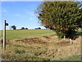 Bridleway to Chediston Green