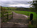 Cattle grid near Way Gill Farm