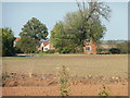 Leys Farm sheltered by trees