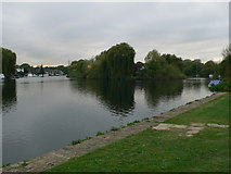 TQ0765 : View to Pharaoh's Island from the Thames Path by Eirian Evans