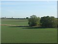 Farmland near Eastfield Farm