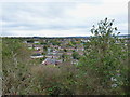 Southwards over Wombourne from Bullmeadow Coppice