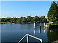 The Thames at Penton Hook