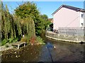 Fordingbridge, stream confluence