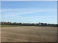 Farmland near the A1