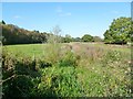 Fordingbridge, ditch