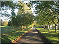 Autumn at Brookenby