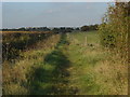 Footpath, Fifield