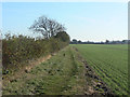 Bridleway towards the Foss Way