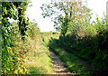 2011 : Farm track off Sleight  Lane