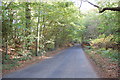 Nettlesworth Lane through Mill Wood