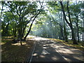 Path into Grangewood Park, South Norwood