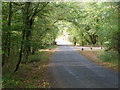 Bridge on Scratchings Lane