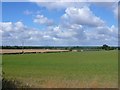 SP2856 : Farmland near Wellesbourne by Nigel Mykura