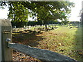 Cemetery for the Holy Innocents Church , Southwater