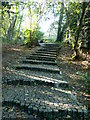 SU9972 : Granite steps leading up to the J F Kennedy memorial at Runnymede by Eirian Evans