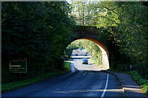 SU5732 : Railway Bridge at New Alresford, Hampshire by Peter Trimming