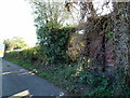 Remains of a railway wagon shed, Manson