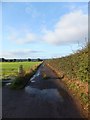 SJ4865 : Farm track and bridleway (Baker Way) by David Smith