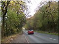 Ecclesfield Road by Woolley Wood