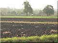 Dark soil in the early morning light