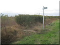 Footpath and bridleway meet Green Lane