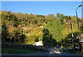 Former chalk pit, Kenley