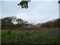 Llwynwermod farm outbuildings