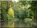 Trent and Mersey Canal near Bishton, Staffordshire