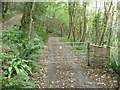 Gate on a woodland track near Nanternis