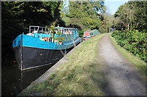 ST7963 : Kennet and Avon Canal by Philip Halling