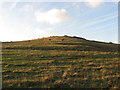 TQ4506 : Spur, Beddingham Hill by Simon Carey