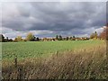 View towards Ufton