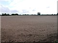 SJ6247 : Large field, Broomhall Green by Alex McGregor
