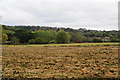 Rough land near Tixall Bridge