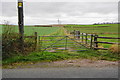 Track to Brancote Farm