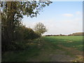 Farm track to Grimsby Road