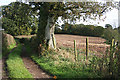 Broadclyst: College Lane