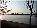 View of Canary Wharf from the Thames Path #2