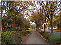 Tree Lined Path, Team Valley Trading Estate