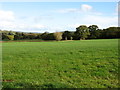 Fields west of Litton