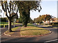 Grass Verge beside Featherbed Lane