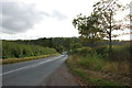 Towards Marchington Cliff in Banktop Wood