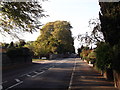 Old Farleigh Road, Selsdon