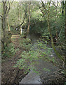 The Afon Cynffig in woodland just north of Kenfig Hill