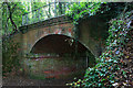 SU4726 : Old railway bridge by David Lally
