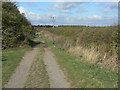 Bridleway on Cotgrave Wolds